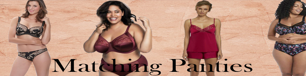 Love Lingerie Sets? Then check out All of our Matching Panties for our Fashion Bras